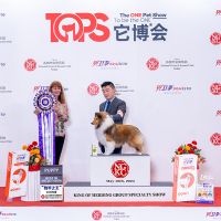 PBISS BBIS Luckbag‘s Elixir “晓东”