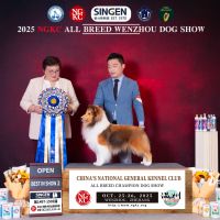 RBIS PBIS BBISS PRC CH Luckbag‘s Elemental “Soul”