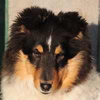 Sophie
