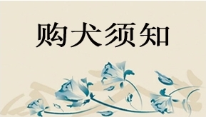 购犬须知